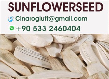 salted white sunflowerseed