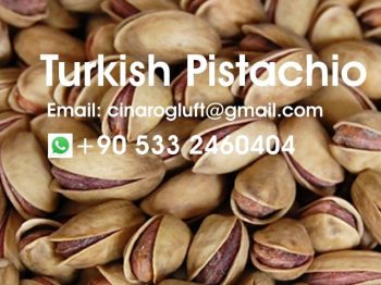 turkish pistachio salted roasted